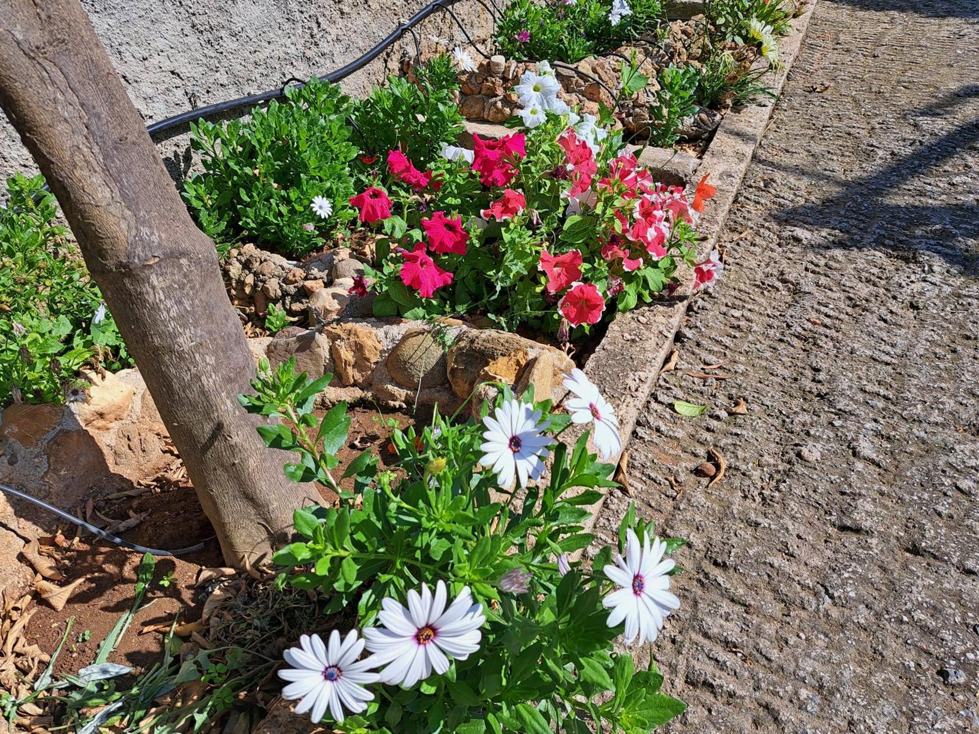 Garden House-Free Transfer From Airport Villa Artemida  Exterior foto