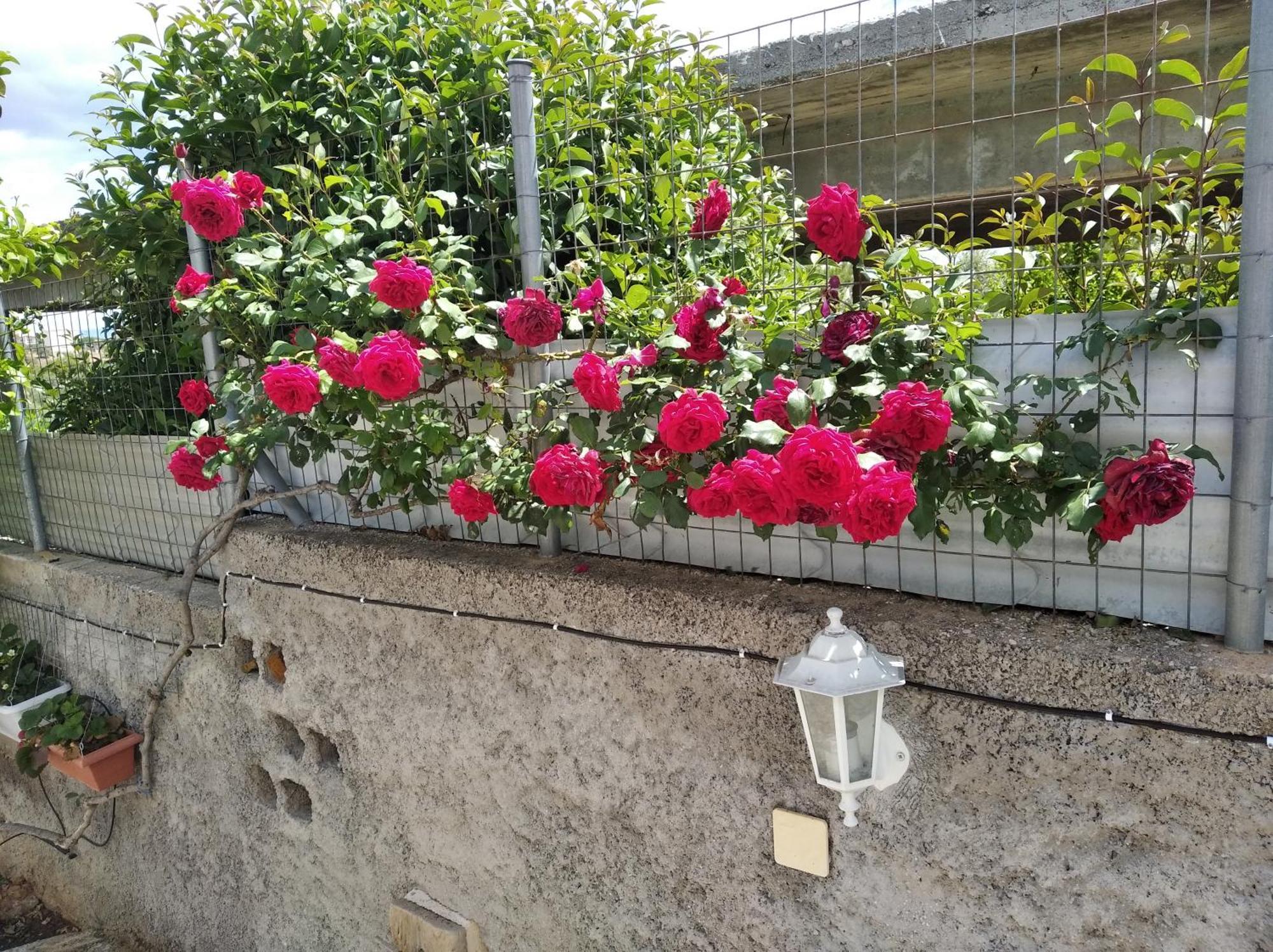 Garden House-Free Transfer From Airport Villa Artemida  Exterior foto